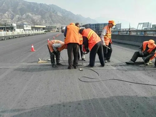 平舆道路桥梁病害治理